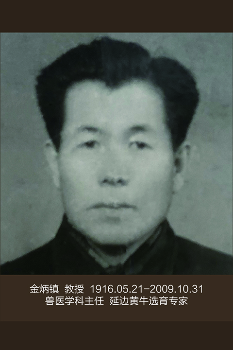 管管家婆图库大全