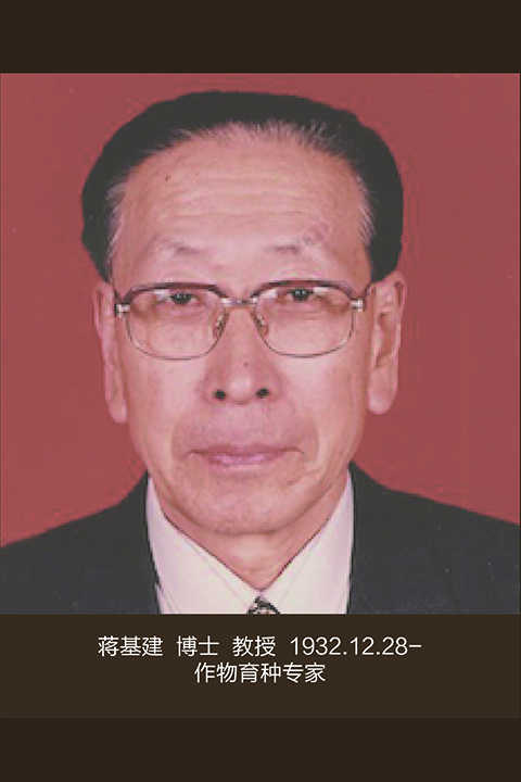 管管家婆图库大全