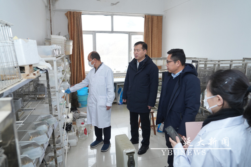 管管家婆图库大全