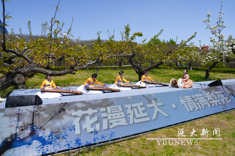 管管家婆图库大全